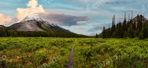 Preview: Panoramic View of Vibrant Green Meadows in the Canadian Rocky Mountain