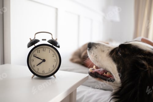 Preview: alarm clock and woman sleeping in bed sleep quality