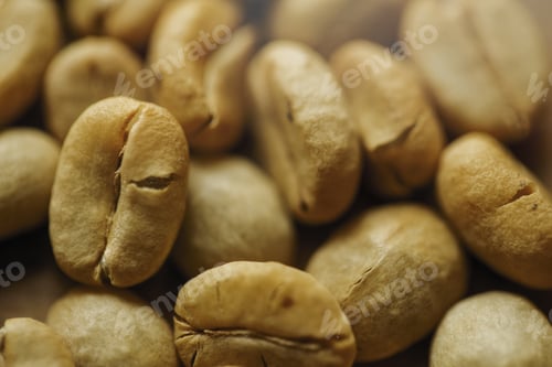 Preview: Heap of fresh unroasted coffee beans