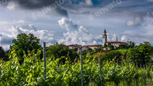 Preview: Aerial View of Picturesque Town and Vineyards in Vipava Valley