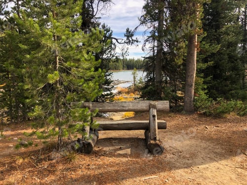 Preview: A bench on the shore of one of the lakes of Grand Teton National Park
