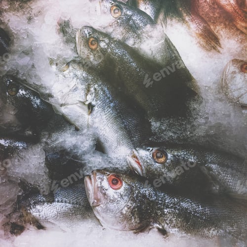 Preview: Fish