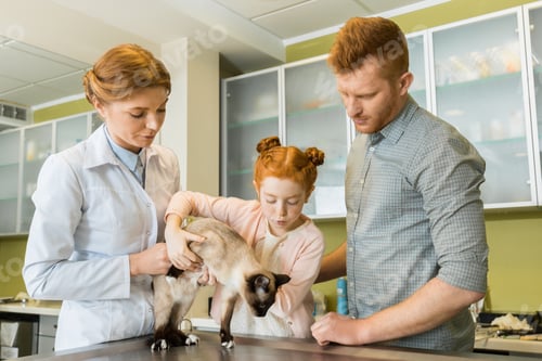Preview: Man and his daughter at veterinary doctor with their pet- checking cat