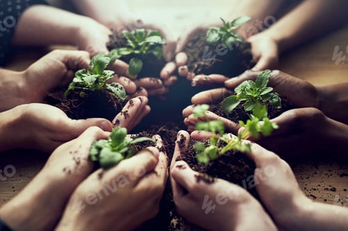 Preview: Closeup shot of a group of people each holding a plant growing in soil