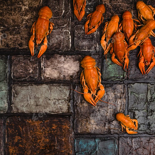 Preview: top view of gourmet lobsters on brick wall surface