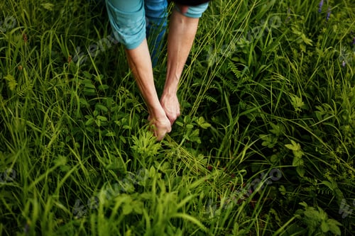 Preview: Environmental Farmer hands reaching in greens