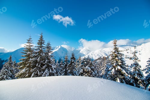 Preview: Beautiful shot of a snowy landscape