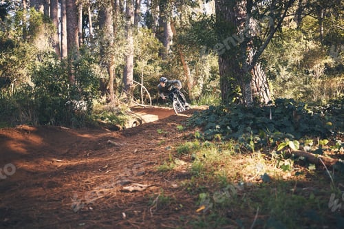 Preview: Fitness, bicycle freedom and man outdoor on a forest path with extreme and exercise adventure. Bike
