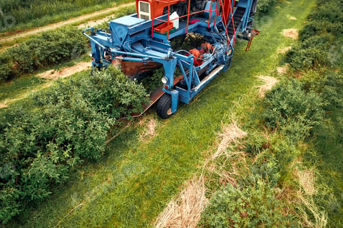 Preview: Modern machinery harvesting crops on vast farmland, demonstrating efficient farming