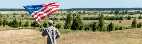 Preview: panoramic shot of military man standing near trees and holding american flag