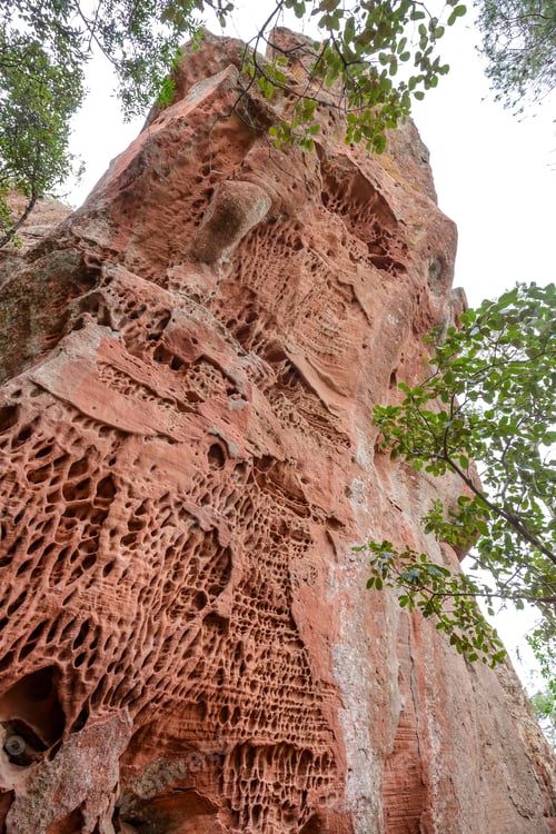 Preview: holes in stone - Tafoni weathering in red sandstone