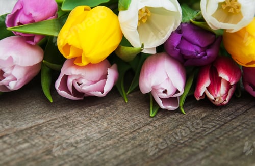 Preview: Spring tulips flowers