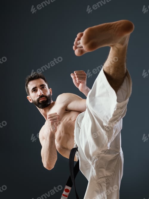 Preview: Karateka Sensei at work