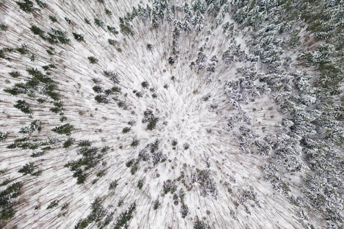 Preview: Aerial drone view of a winter landscape. Snow covered forest.