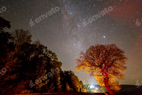 Preview: Golden and red trees under black starry sky and bright lights of moving cars or town in the distance