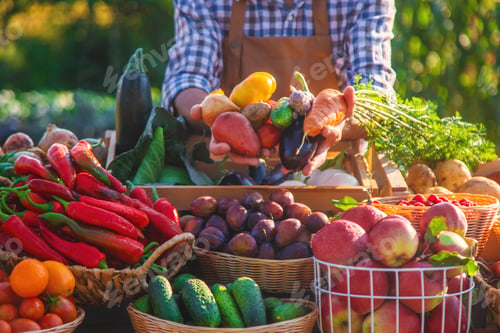 Preview: The farmer sells fruits and vegetables at the farmers market. Selective focus.