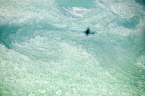 Preview: A lone bird soars over the tumultuous waters