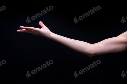 Preview: Female Yoga mudra hand