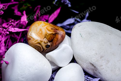 Preview: Polished agate Stone on White Rocks and Flowers