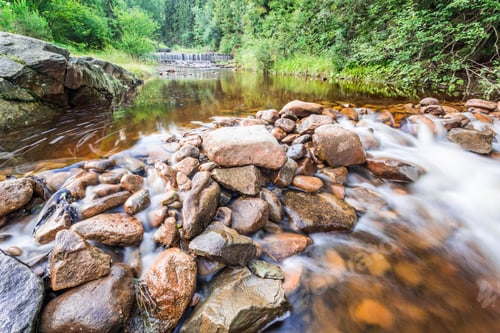 Preview: Mountain river in summer forest