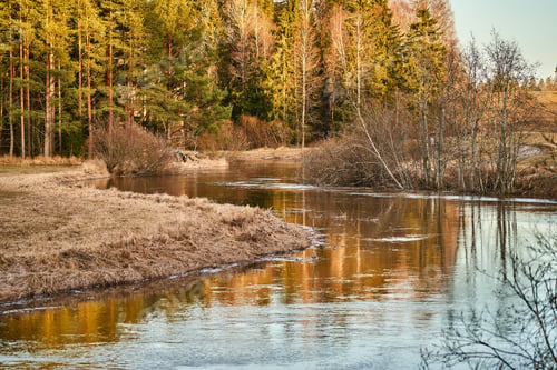 Preview: Sun reflecting on pond as it flows by trees