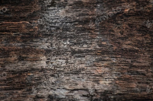 Preview: The Petrified Wood Texture Background