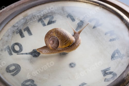 Preview: Snail moving over surface of old clock