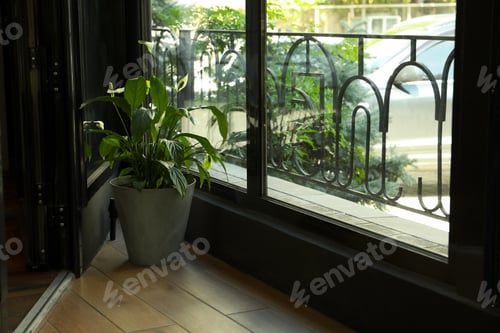 Preview: Plant in a flower pot in the restaurant