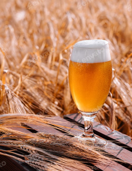 Preview: glass of blonde beer on wooden table with sunny wheat field