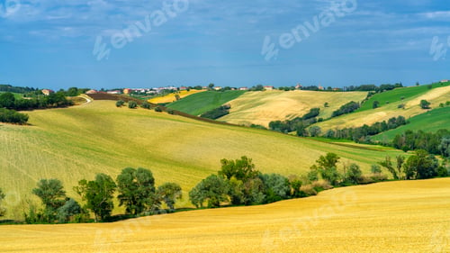 Preview: Rural landscape near Ostra Vetere and Cingoli, Marche, Italy