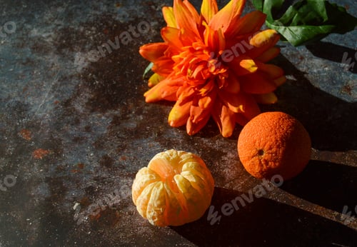 Preview: Clementine