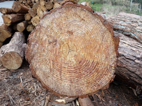Preview: Pile Of Wood
