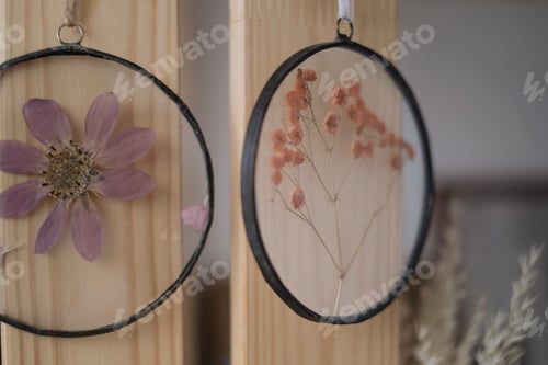 Preview: Herbarium of dried different plants and flowers. Natural decorative elements for home decoration.