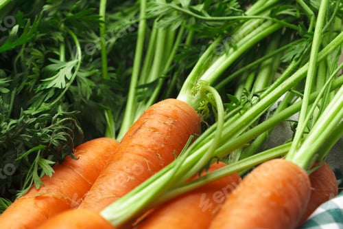 Preview: Fresh carrots on checkered tablecloth close up