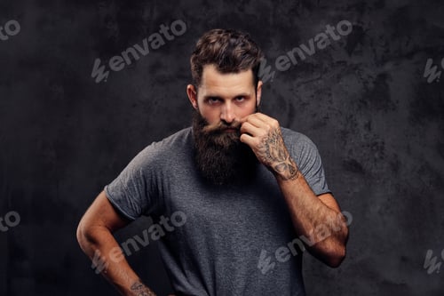 Preview: Portrait of a hipster with full beard and stylish haircut, dressed in a gray t-shirt in a studio