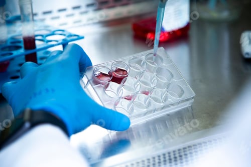 Preview: Process of research and chemical experiments with vials and ampules in the laboratory