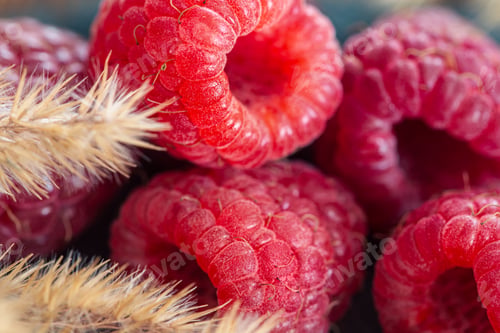 Preview: Ripe raspberries macro shot, selective focus, fruit background.