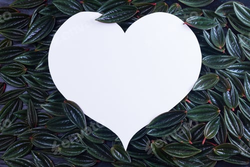 Preview: fresh green leaves