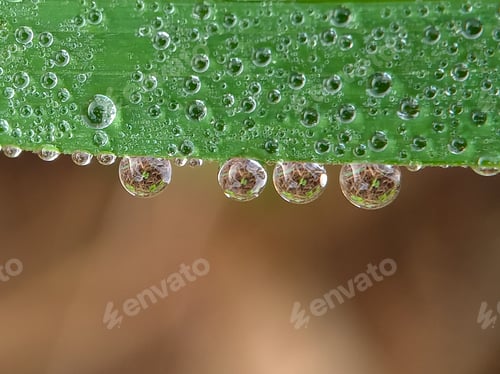 Preview: Nature background photo