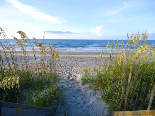 Preview: Sandy path through the sea oats over the sand dunes to the ocean. Beautiful day at the beach.