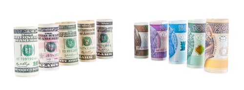 Preview: Rolled dollar and polish zloty banknotes