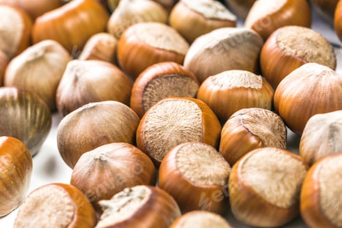 Preview: Freshly harvested hazelnuts laid out on a surface for processing and packaging
