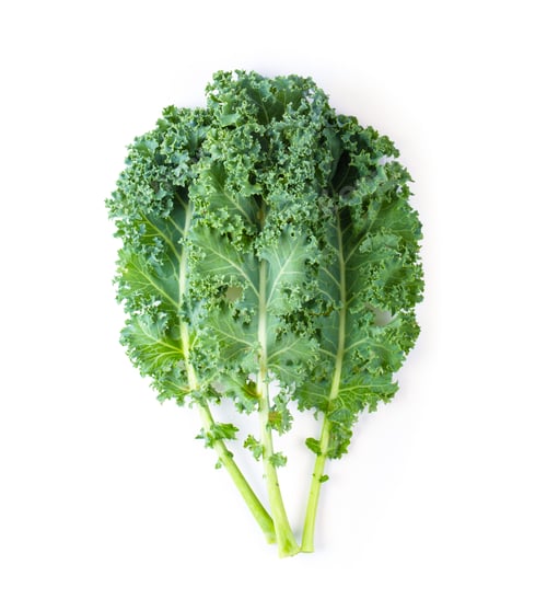 Preview: Fresh organic green kale leaves pattern on a white background