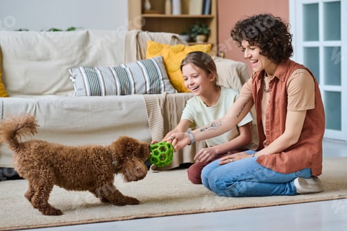 Preview: Family playing with dog together