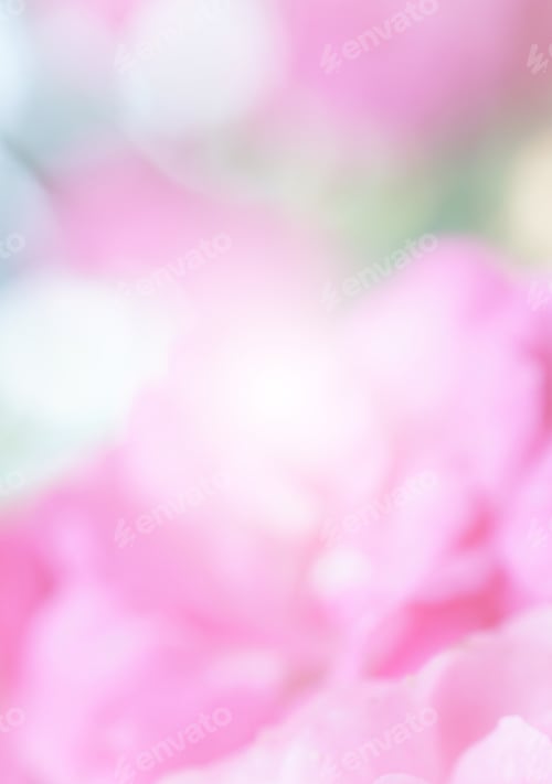 Preview: Bokeh Soft Color Background
