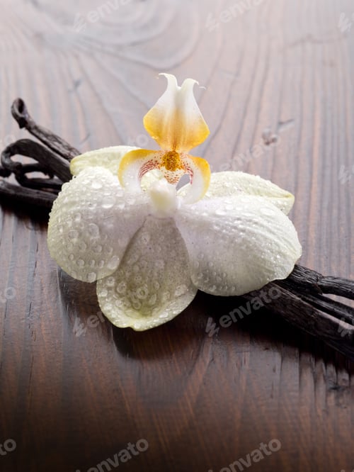Preview: vanilla stick with orchid