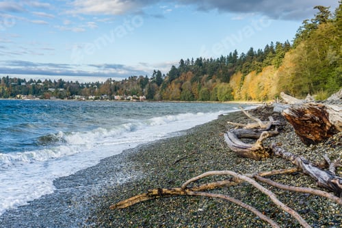 Preview: An Autumn View Of The Shoreline At Lincoln Park In West Seattle, Washington.