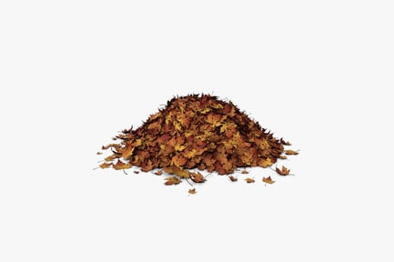 Preview: Pile of autumn leaves