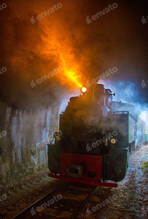 Preview: Vertical shot of a steam train on narrow railway in a tunnel in Viseu de Sus, Romania