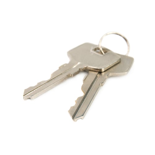 Preview: Bunch of keys.